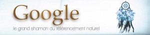 Google : le grand shaman du référencement naturel en 2014