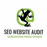 Ausit SEO pour site web avec sreaming frog seo